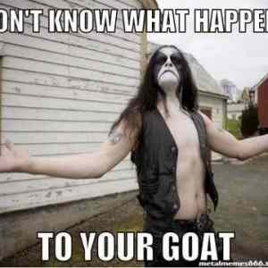 Obrázek 'your goat'