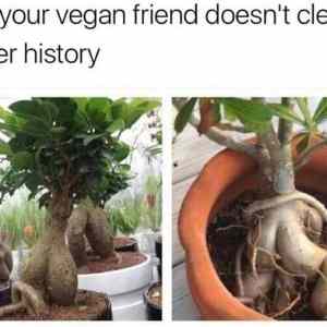Obrázek 'your vegan friend'