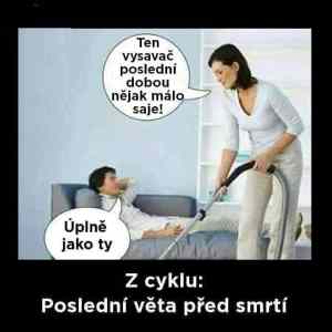 Obrázek 'z cyklu posledni veta'