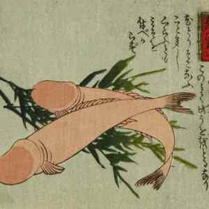 Obrázek 'z japonske knizky o rybolovu'