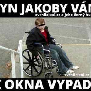 Obrázek 'z okna vypadl'