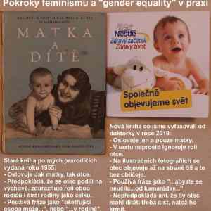 Obrázek 'z toho feminismu mam uplne rovne pohlavi'