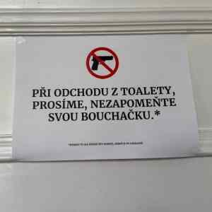 Obrázek 'zachodove dvere v poslanecke snemovne'