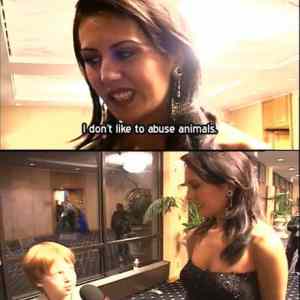 Obrázek 'zadne tyrani svisatek'