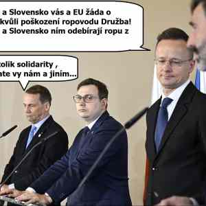 Obrázek 'zadost o solidaritu'