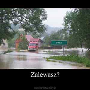Obrázek 'zalewasz'