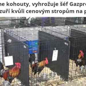 Obrázek 'zavreme kohouty'