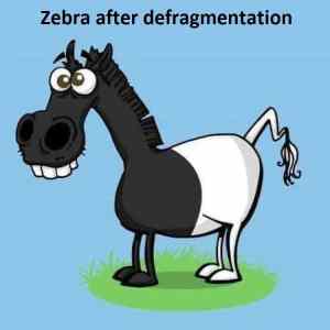 Obrázek 'zebra defrag'
