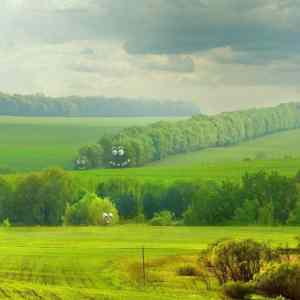 Obrázek 'zelene&nbsp;housenky'