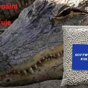 Obrázek 'zemanaligator'