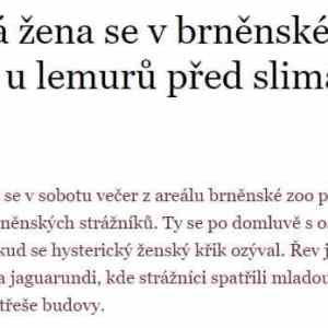 Obrázek 'zena z brna'