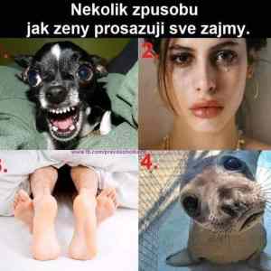 Obrázek 'zezajmy'