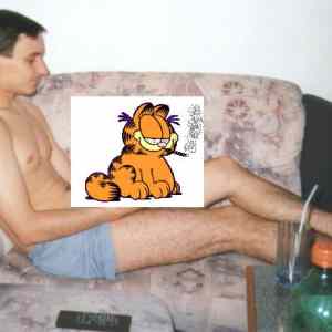 Obrázek 'zhulenej garfield na roumenovi'