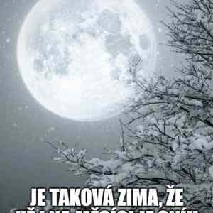 Obrázek 'zima&nbsp;snih'