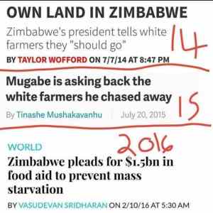 Obrázek 'zimbabwe white farmers'