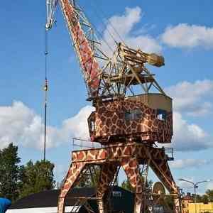 Obrázek 'ziraffka. . . '