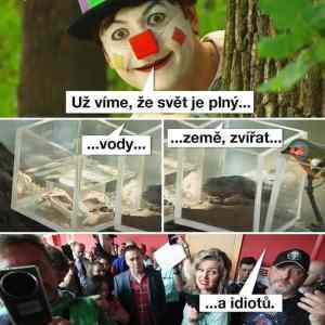 Obrázek 'zitkovci'