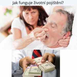 Obrázek 'zivotko.--' Obrázek 'zivotko.--'