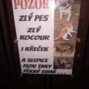 Obrázek 'zla zvirena'