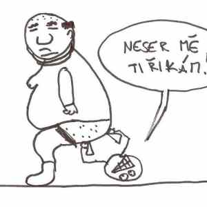 Obrázek 'zlatej Marty 3'