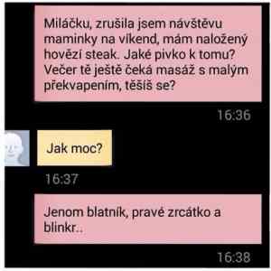 Obrázek 'zna ji'