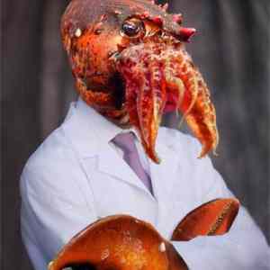 Obrázek 'zoidberg IRL'