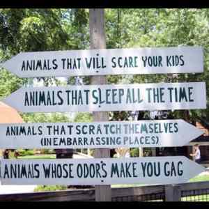 Obrázek 'zoo funny 1'