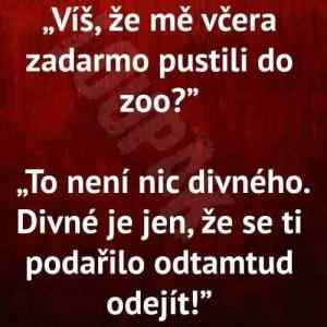 Obrázek 'zoo zadarmo'