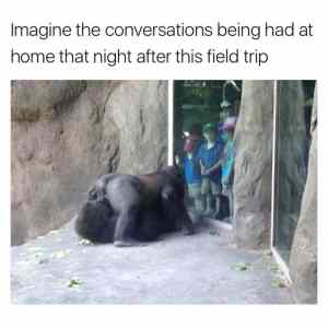 Obrázek 'zoopriroda'