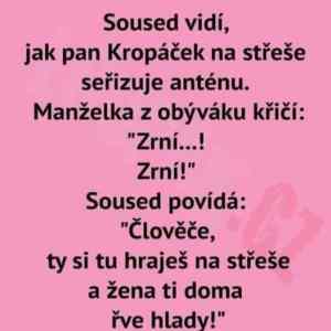 Obrázek 'zrni pro Marku'