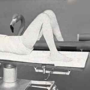 Obrázek 'zruda si uziva'