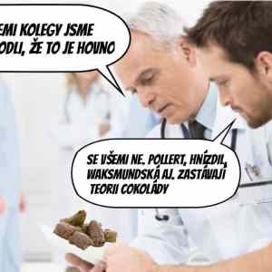 Obrázek 'ztrata&nbsp;cichu'