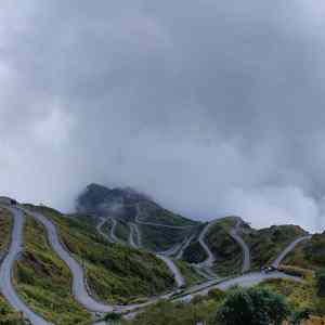 Obrázek 'zuluk kupup in east sikkim2'