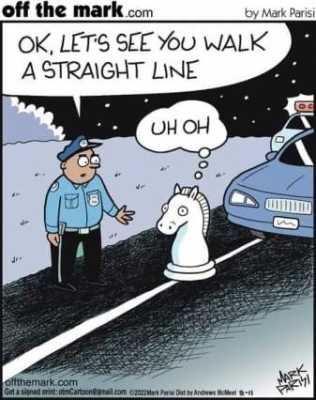 Knight_cop.jpg