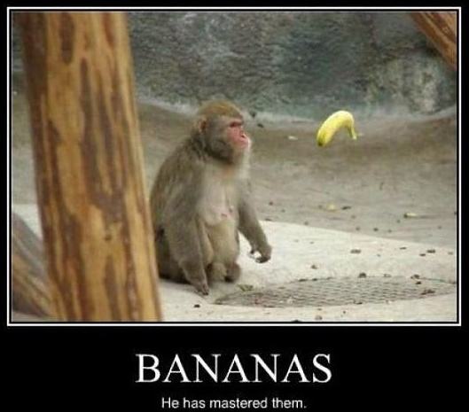 Obrázek -Bananas-      15.09.2012