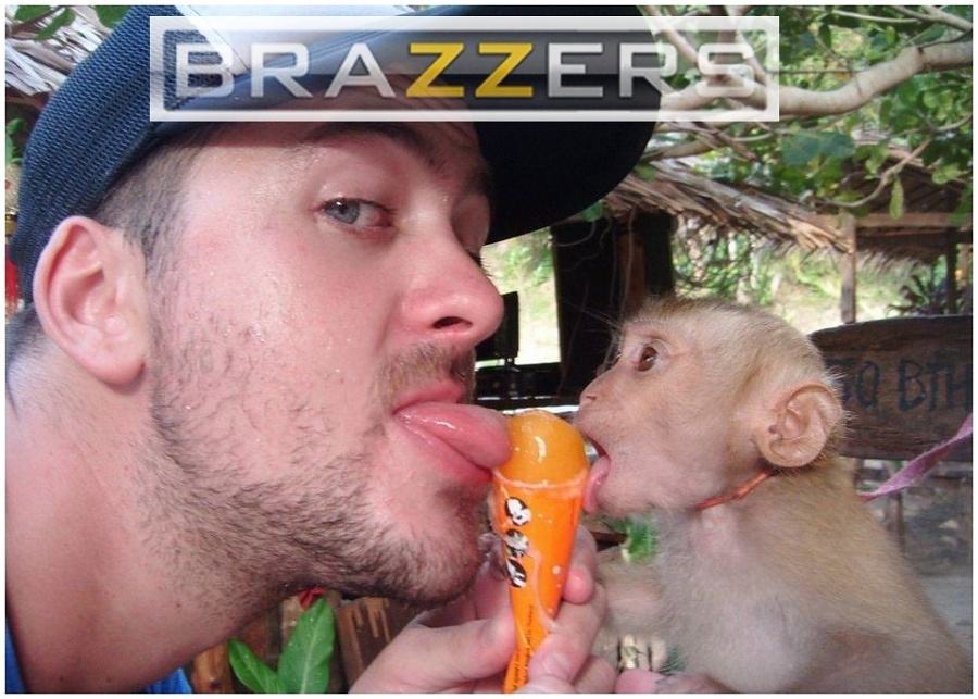 Obrázek -Brazzers-      08.11.2012