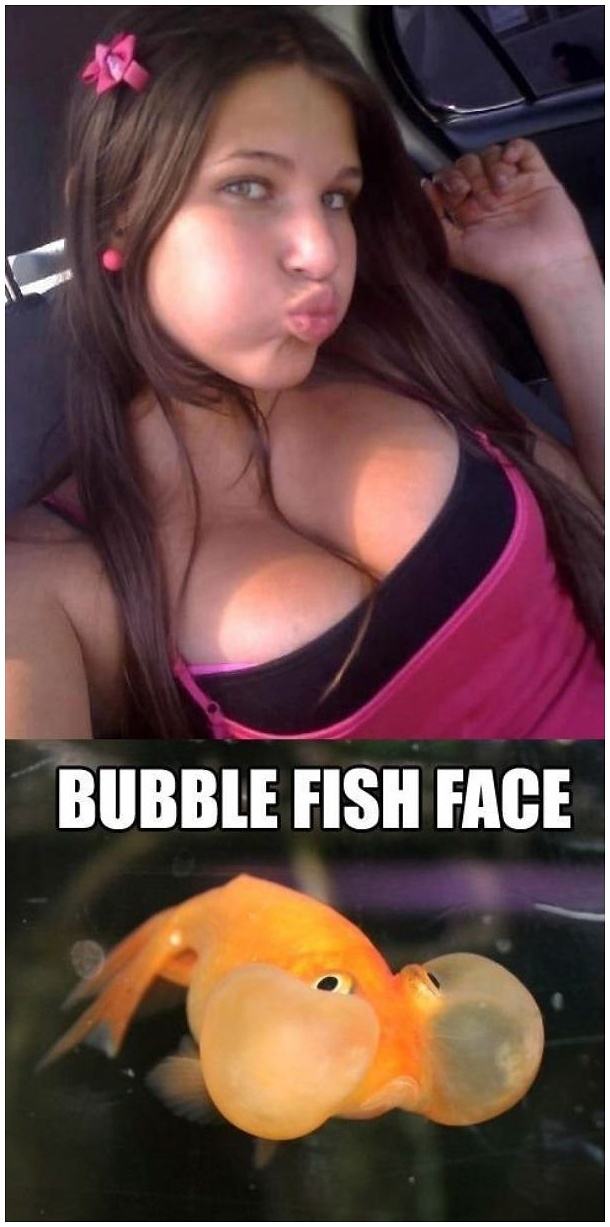 Obrázek -Bubble Fish Face-      09.11.2012