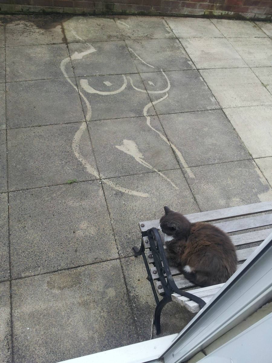 Obrázek -Dad was pressure washing the patio-      05.09.2012