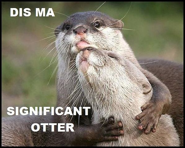 Obrázek -Dis ma significant otter-      21.10.2012