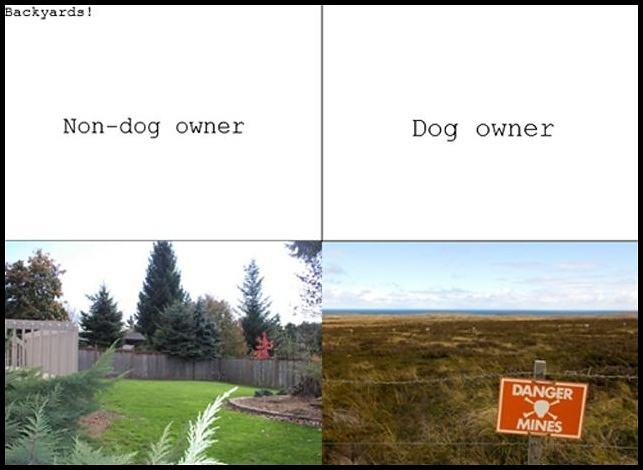 Obrázek -Dog-      24.09.2012