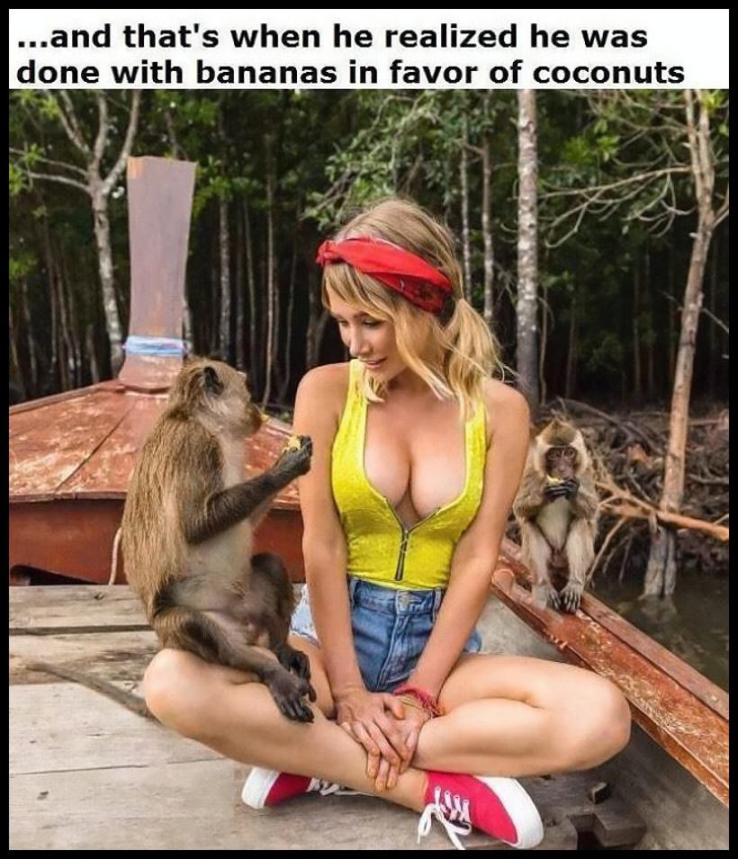 Obrázek -Done With Stupid Bananas-