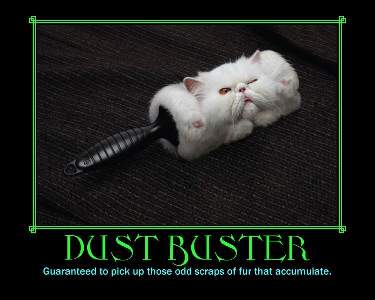 Obrázek -Dust buster-      12.08.2012
