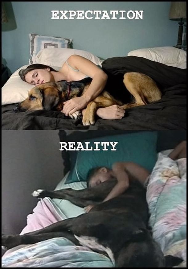 Obrázek -Expectation-Reality-      07.12.2012