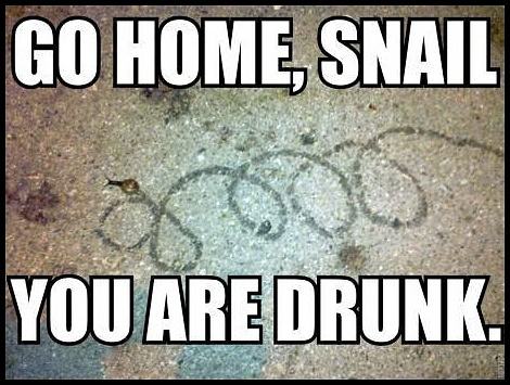 Obrázek -Go home snail - you are drunk-      21.10.2012