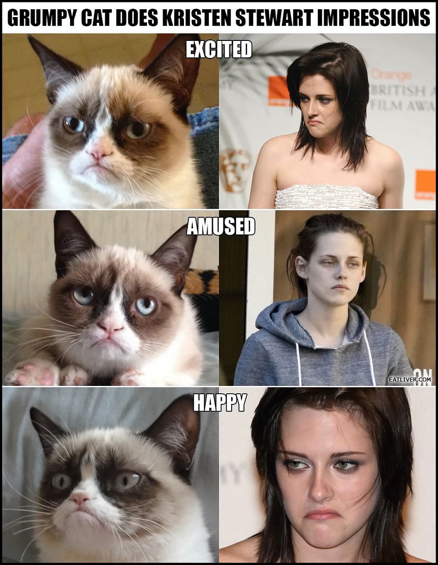 Obrázek -Grumpy cat does Kristen Stewart impressions-      13.12.2012