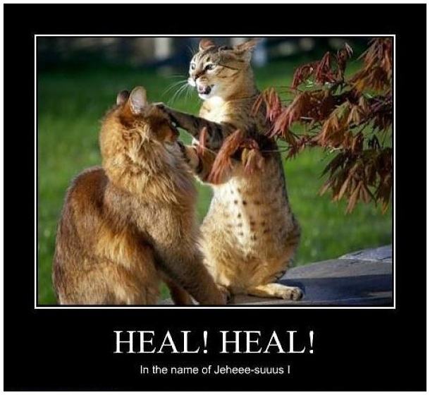 Obrázek -Healer Cat-      08.10.2012