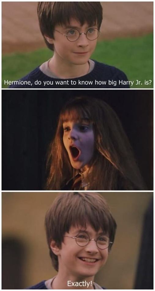 Obrázek -Hermione-      19.08.2012