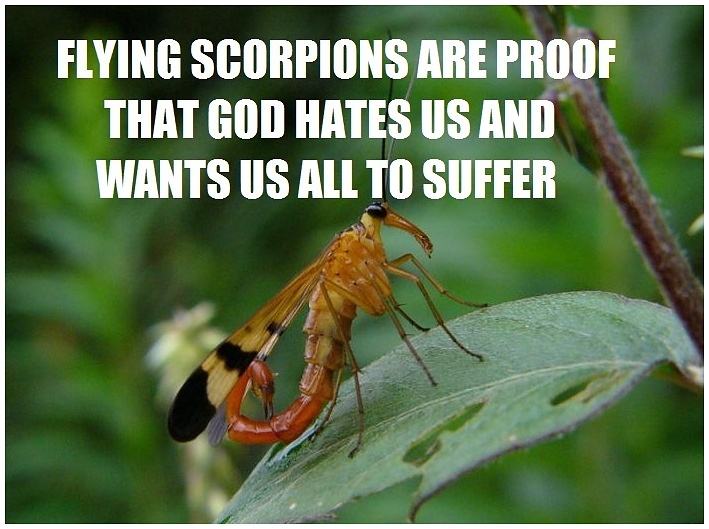 Obrázek -Hey listen - fuck scorpions-      03.11.2012
