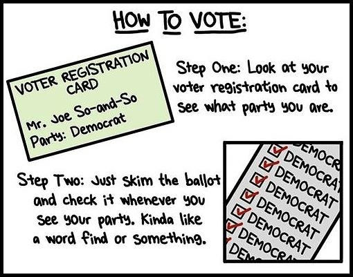 Obrázek -How to vote-      17.10.2012