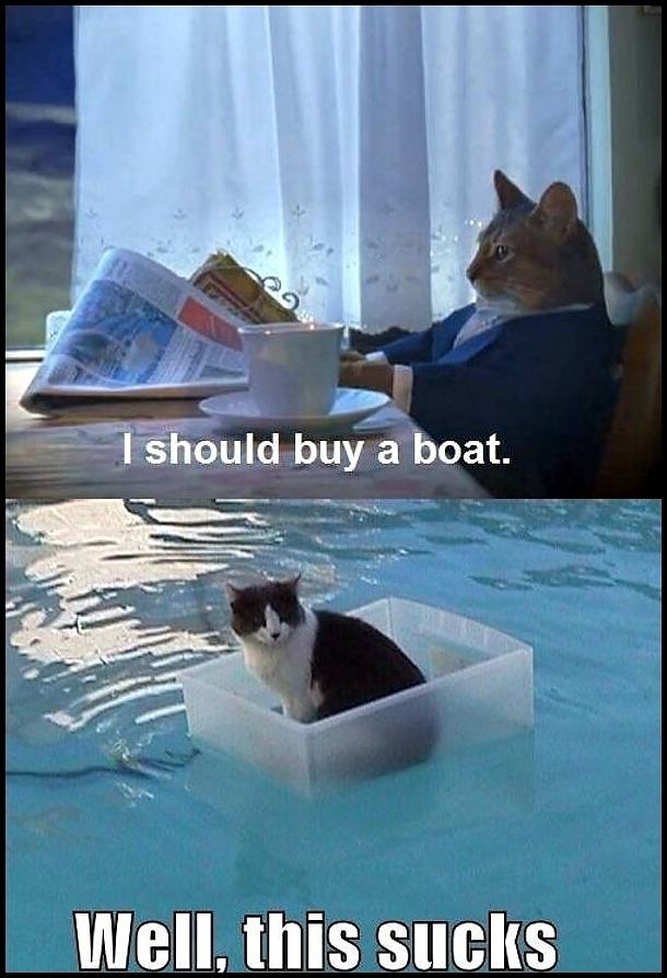 Obrázek -I should buy a boat-      23.10.2012